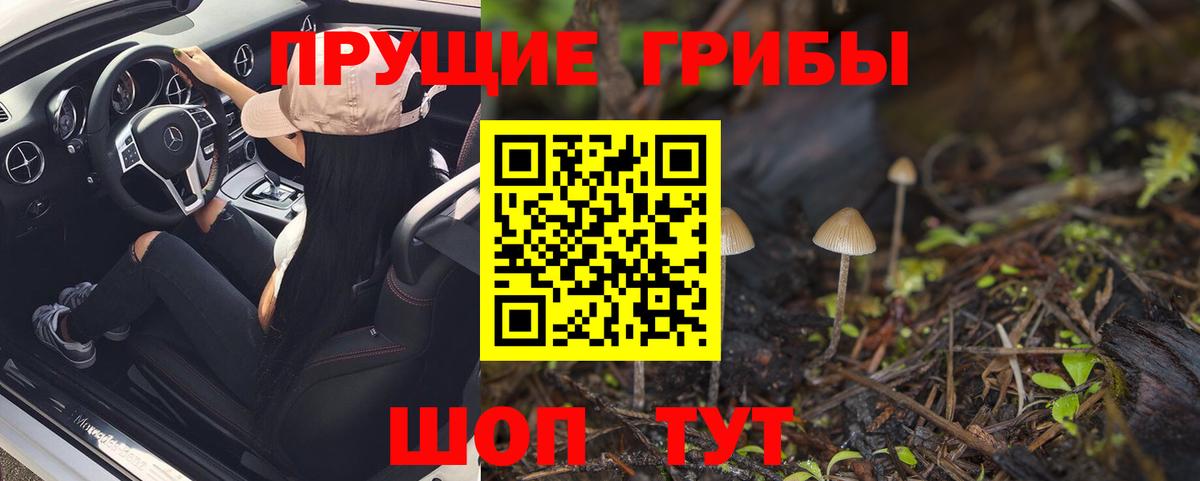 Галлюциногенные грибы MAGIC MUSHROOMS  Галлюциногенные грибы прущие грибы  Вход с VPN  что такое   Гагарин 